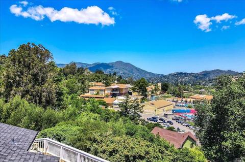 111 Mcrae Rd, Mill Valley, CA 94941 photo 49