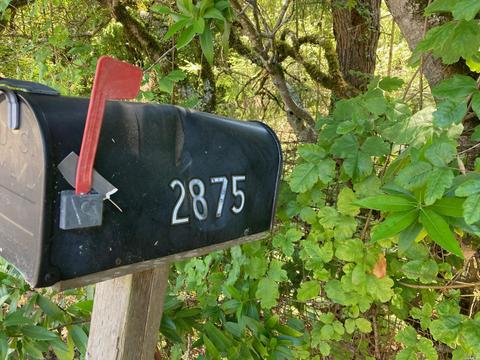 2800 Burnside Rd, Sebastopol, CA 95472 photo 2