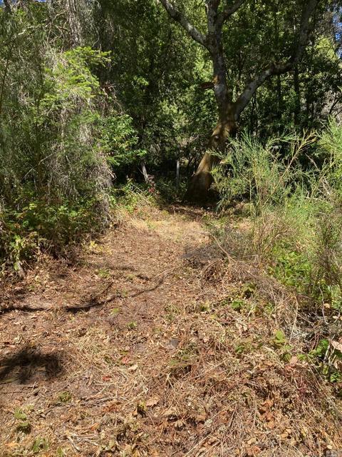 2800 Burnside Rd, Sebastopol, CA 95472 photo 6