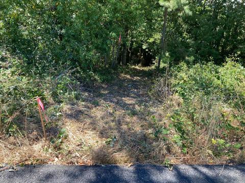 2800 Burnside Rd, Sebastopol, CA 95472 photo 5
