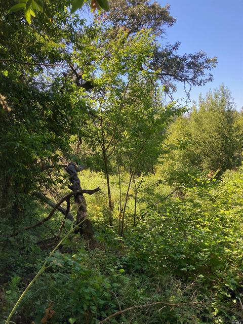 2800 Burnside Rd, Sebastopol, CA 95472 photo 10