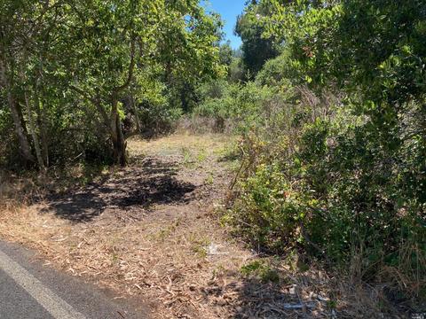2800 Burnside Rd, Sebastopol, CA 95472