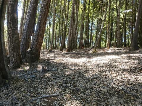 27520 Fox Rd, Willits, CA 95490 photo 1