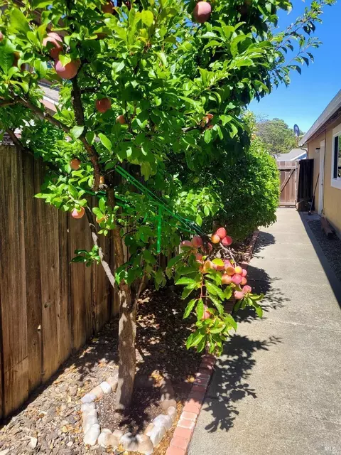 161 Rivermouth Ln, Vallejo, CA 94591 photo 49