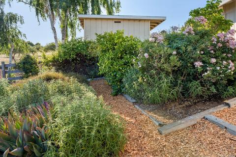 1287 Burnside Rd, Sebastopol, CA 95472 photo 35