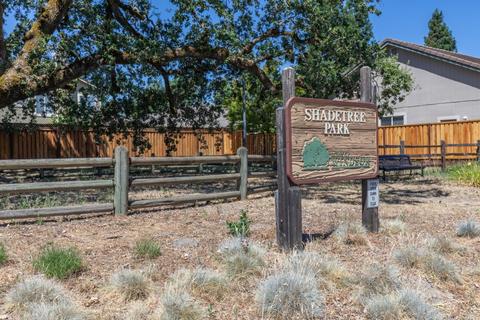 8473 Shadetree Dr, Windsor, CA 95492 photo 34