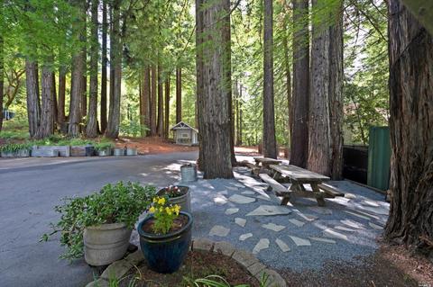 16305 Bittner Rd, Occidental, CA 95465 photo 39