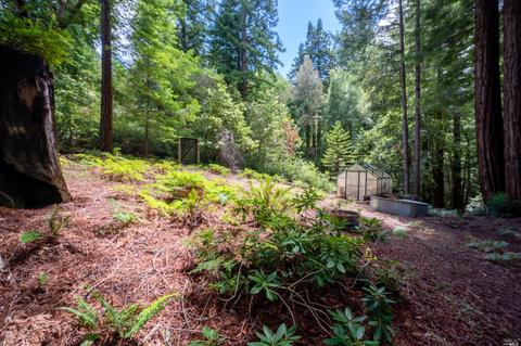 16305 Bittner Rd, Occidental, CA 95465 photo 43