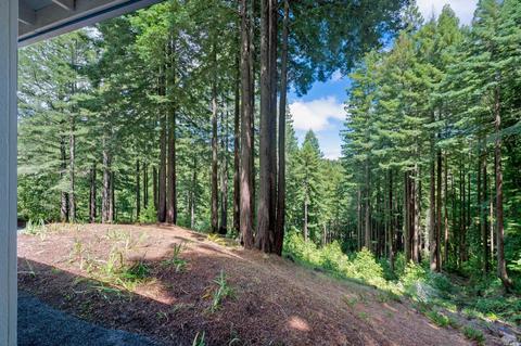 16305 Bittner Rd, Occidental, CA 95465 photo 48