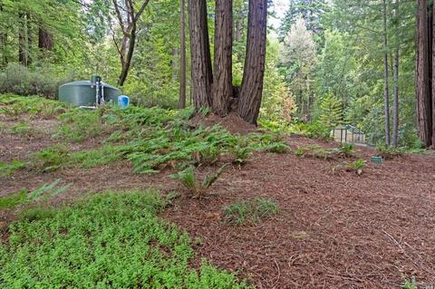16305 Bittner Rd, Occidental, CA 95465 photo 42
