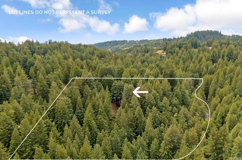 16305 Bittner Rd, Occidental, CA 95465 photo 53