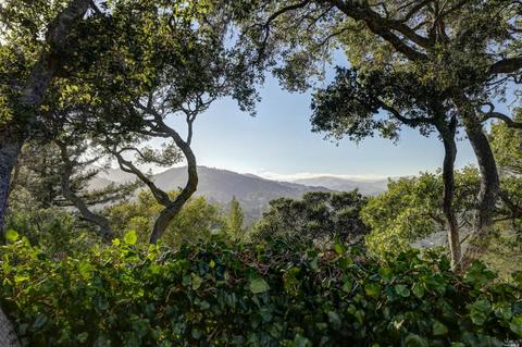 1 Alta Ter, Corte Madera, CA 94925 photo 35