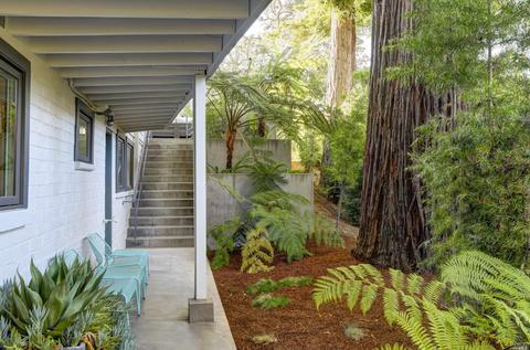 1 Alta Ter, Corte Madera, CA 94925 photo 24