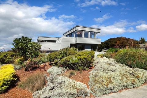 20290 Osprey Dr, Bodega Bay, CA 94923 photo 3