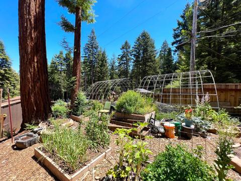 24186 Birch Ln, Willits, CA 95490 photo 33
