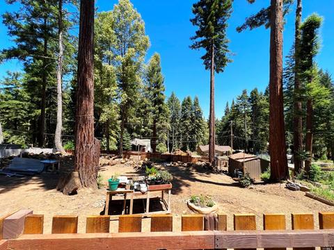 24186 Birch Ln, Willits, CA 95490 photo 29