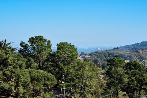 63 Skyline Ter, Mill Valley, CA 94941 photo 33