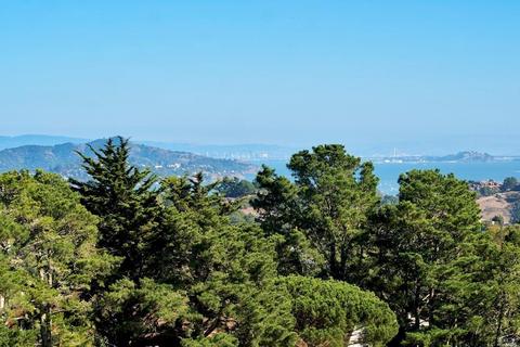 63 Skyline Ter, Mill Valley, CA 94941 photo 35