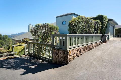 63 Skyline Ter, Mill Valley, CA 94941 photo 43