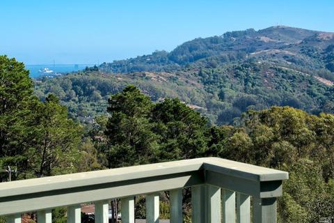 63 Skyline Ter, Mill Valley, CA 94941 photo 16