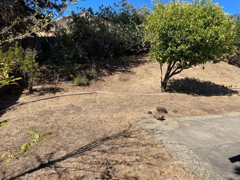 437 Larkin Dr, Benicia, CA 94510 photo 27