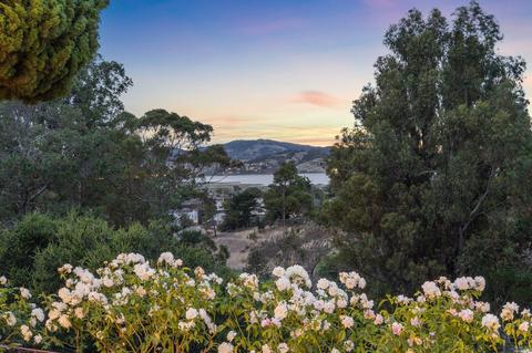 114 Granada Dr, Corte Madera, CA 94925 photo 49
