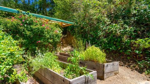 42 Barranca Rd, Lagunitas, CA 94938 photo 50