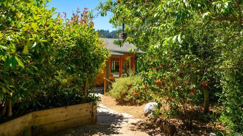 42 Barranca Rd, Lagunitas, CA 94938 photo 17