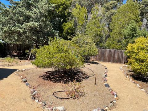 196 Winter Harbor Pl, Vallejo, CA 94591 photo 19