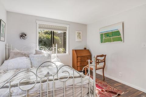 25 Birch St, Mill Valley, CA 94941 photo 21