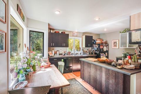 25 Birch St, Mill Valley, CA 94941 photo 11