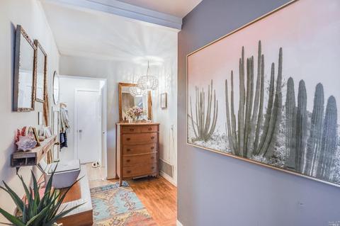 25 Birch St, Mill Valley, CA 94941 photo 3