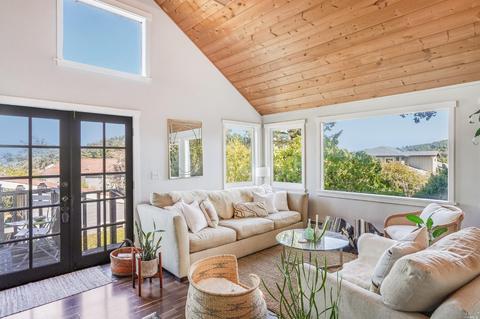 25 Birch St, Mill Valley, CA 94941 photo 19