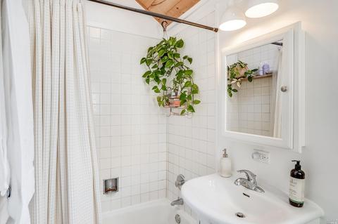 25 Birch St, Mill Valley, CA 94941 photo 22
