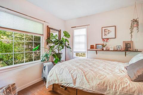 25 Birch St, Mill Valley, CA 94941 photo 16
