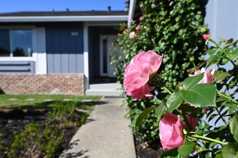726 Ely Blvd S, Petaluma, CA 94954 photo 48