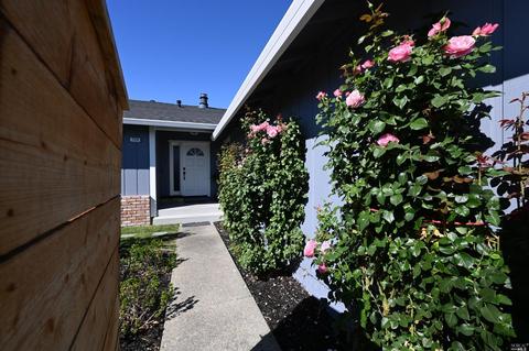 726 Ely Blvd S, Petaluma, CA 94954 photo 47
