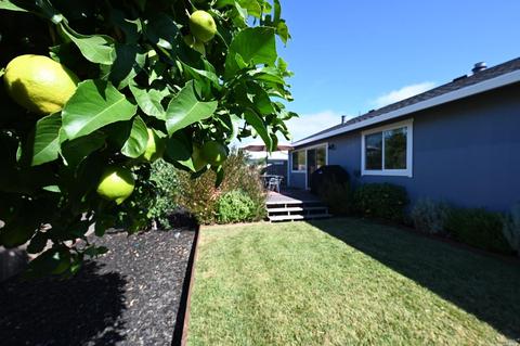 726 Ely Blvd S, Petaluma, CA 94954 photo 41