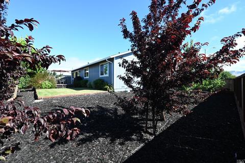 726 Ely Blvd S, Petaluma, CA 94954 photo 34