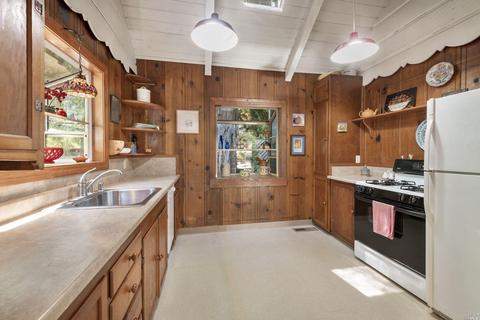19585 Crescent Ave, Monte Rio, CA 95462 photo 4