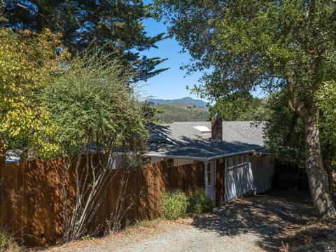 820 Spring Dr, Mill Valley, CA 94941 photo 3