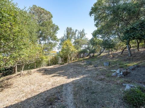 820 Spring Dr, Mill Valley, CA 94941 photo 30