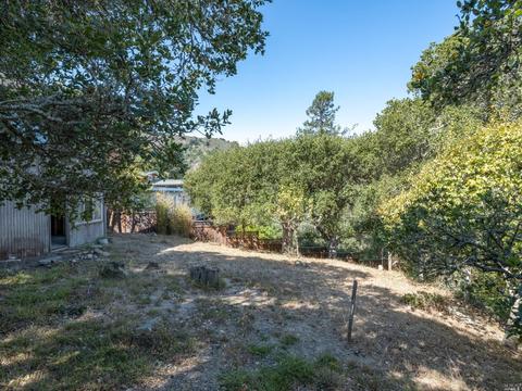 820 Spring Dr, Mill Valley, CA 94941 photo 32