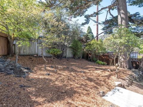 820 Spring Dr, Mill Valley, CA 94941 photo 29