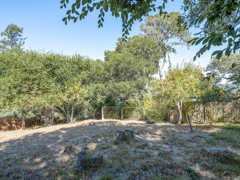 820 Spring Dr, Mill Valley, CA 94941 photo 34