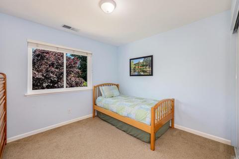 8703 Canyon Oak Dr, Windsor, CA 95492 photo 21