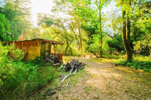 5425 Lucas Valley Rd, Nicasio, CA 94946 photo 25