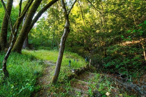 5425 Lucas Valley Rd, Nicasio, CA 94946 photo 33