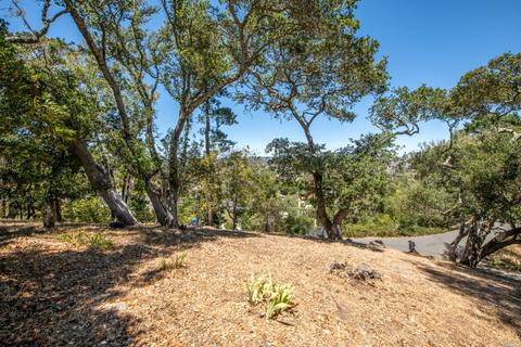 525 Chapman Dr, Corte Madera, CA 94925 photo 51