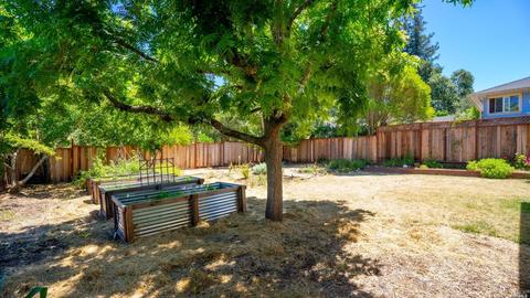 369 Murphy Ave, Sebastopol, CA 95472 photo 31